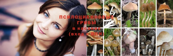 дистиллят марихуана Алзамай