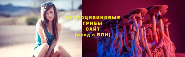 mix Алексин