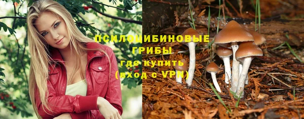 mix Алексин