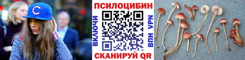 Галлюциногенные грибы Psilocybine cubensis  закладка  Чишмы 
